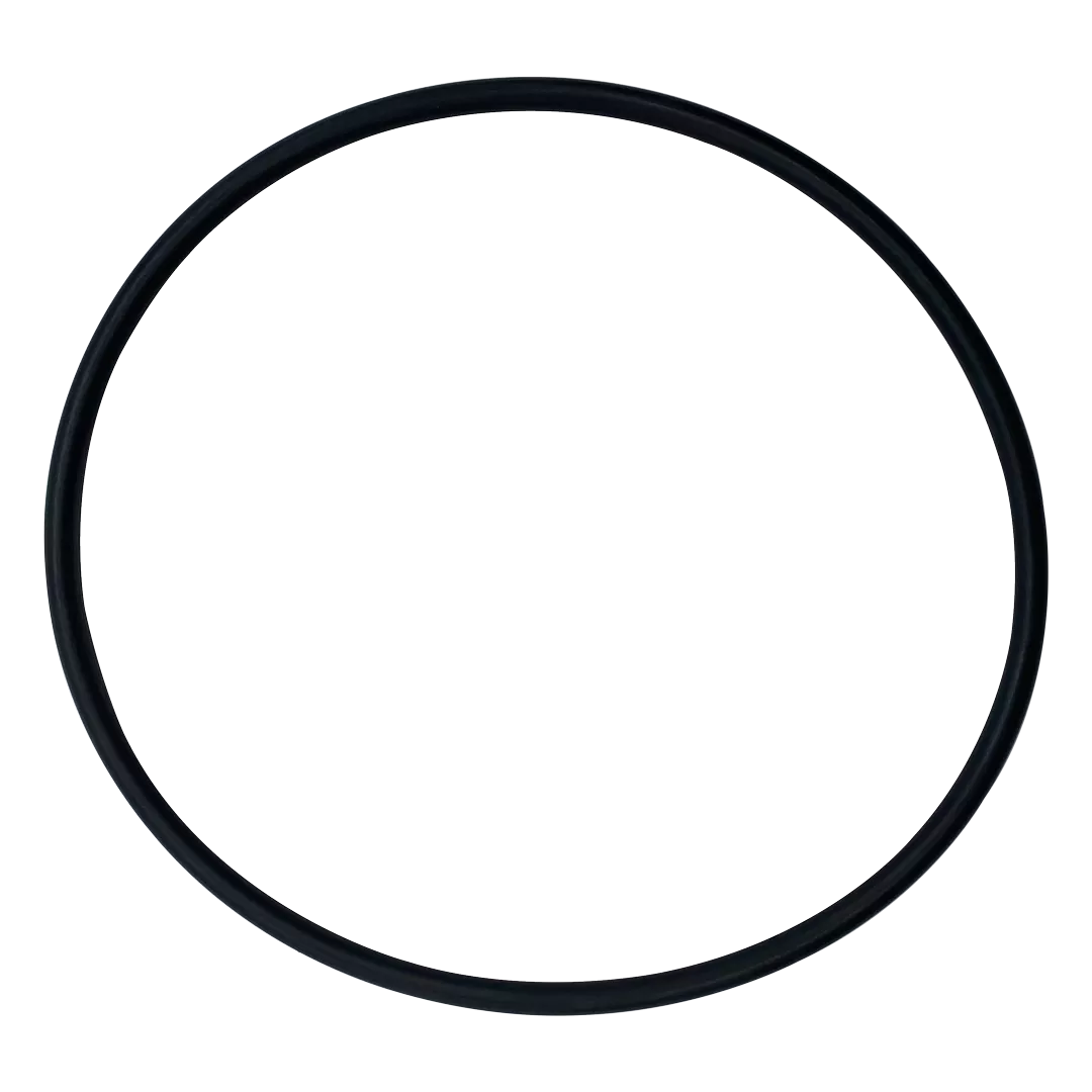 Anthony/Kim Lens O-Ring | O-3-BAGGED
