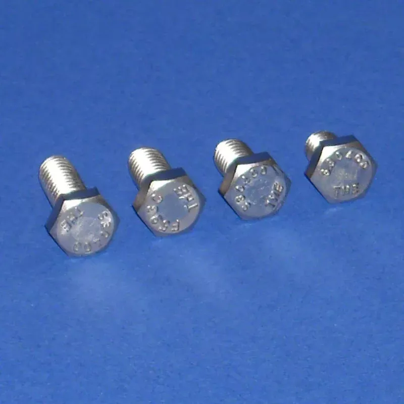 Guardrail Clamp Attachment Bolt – 5/16 x 1/2 Inch – Stainless Steel